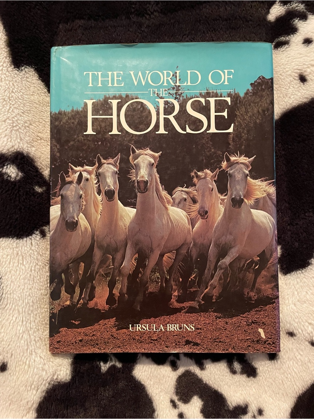 The World of Horses by Ursula Bruns Hardback Book